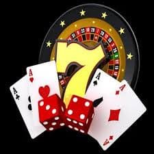 win566 bingo